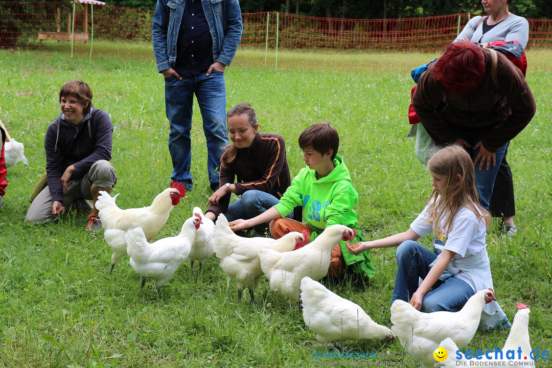 Hoffest-Rengoldshausen-Ueberlingen-2206-2013-Bodensee-Community-SEECHAT_de-IMG_8686.JPG