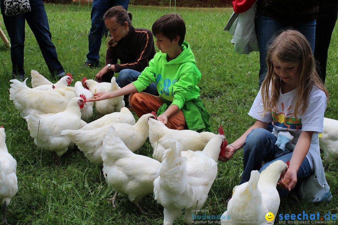 Hoffest-Rengoldshausen-Ueberlingen-2206-2013-Bodensee-Community-SEECHAT_de-IMG_8689.JPG