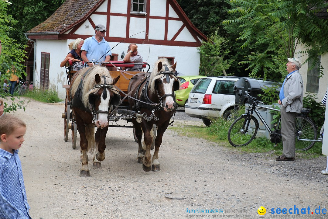 Hoffest-Rengoldshausen-Ueberlingen-2206-2013-Bodensee-Community-SEECHAT_de-IMG_8740.JPG