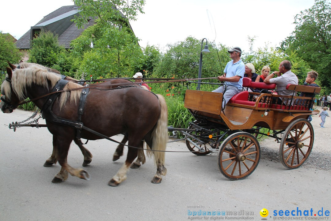 Hoffest-Rengoldshausen-Ueberlingen-2206-2013-Bodensee-Community-SEECHAT_de-IMG_8742.JPG