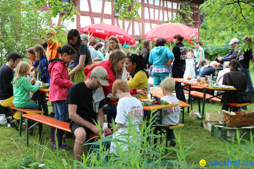 Hoffest-Rengoldshausen-Ueberlingen-2206-2013-Bodensee-Community-SEECHAT_de-IMG_8744.JPG