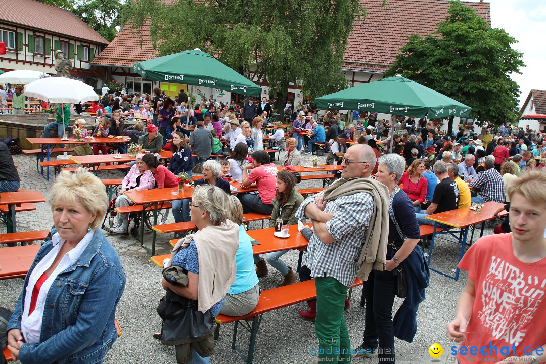 Hoffest-Rengoldshausen-Ueberlingen-2206-2013-Bodensee-Community-SEECHAT_de-IMG_8746.JPG