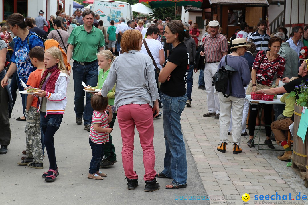 Hoffest-Rengoldshausen-Ueberlingen-2206-2013-Bodensee-Community-SEECHAT_de-IMG_8752.JPG