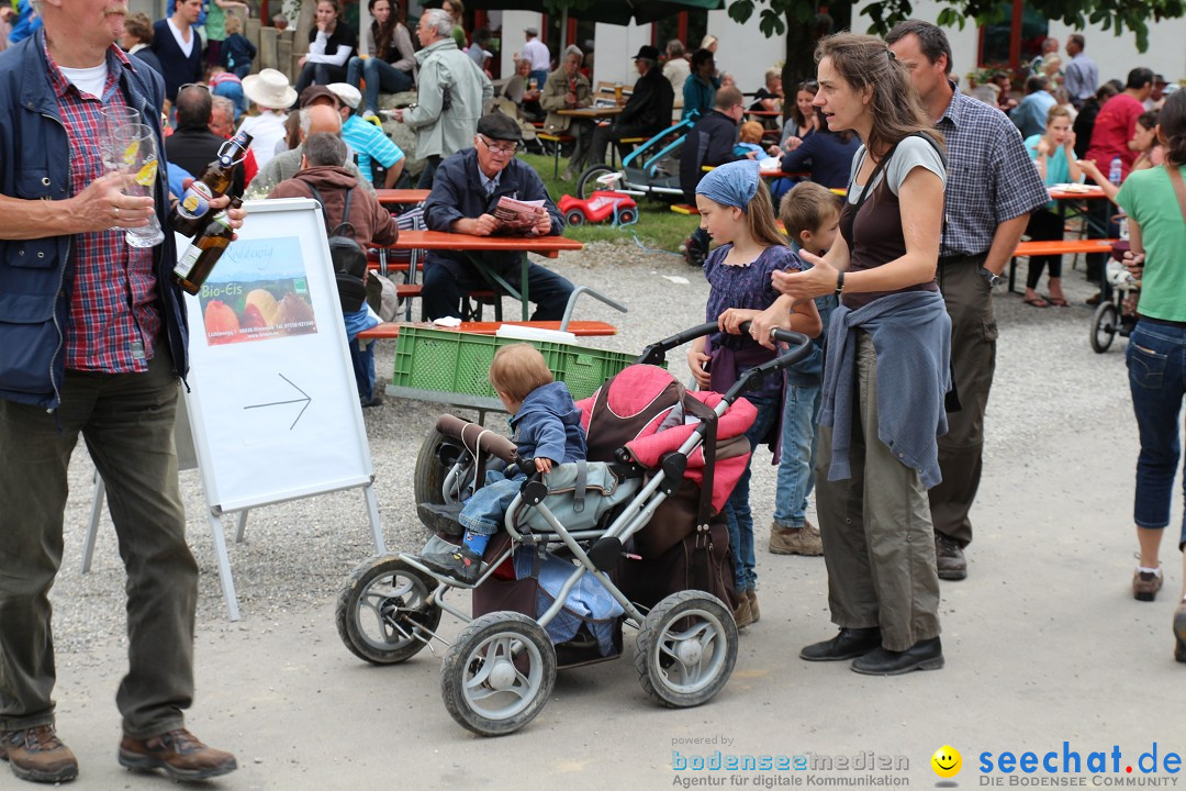 Hoffest-Rengoldshausen-Ueberlingen-2206-2013-Bodensee-Community-SEECHAT_de-IMG_8755.JPG