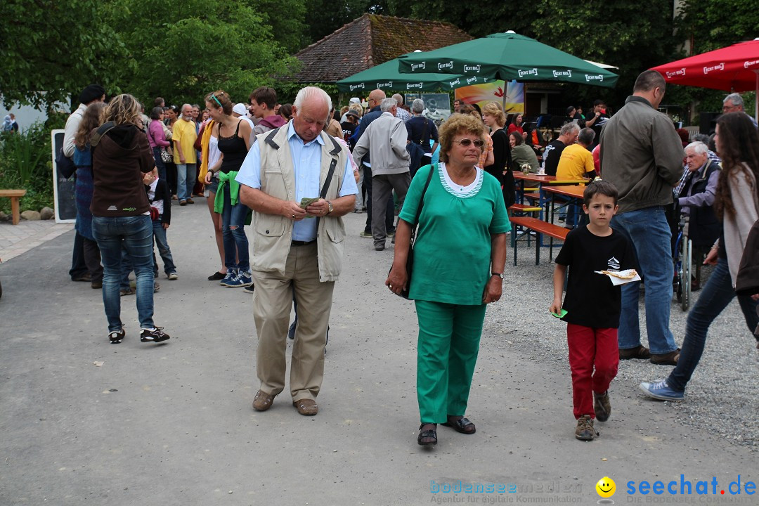 Hoffest-Rengoldshausen-Ueberlingen-2206-2013-Bodensee-Community-SEECHAT_de-IMG_8765.JPG