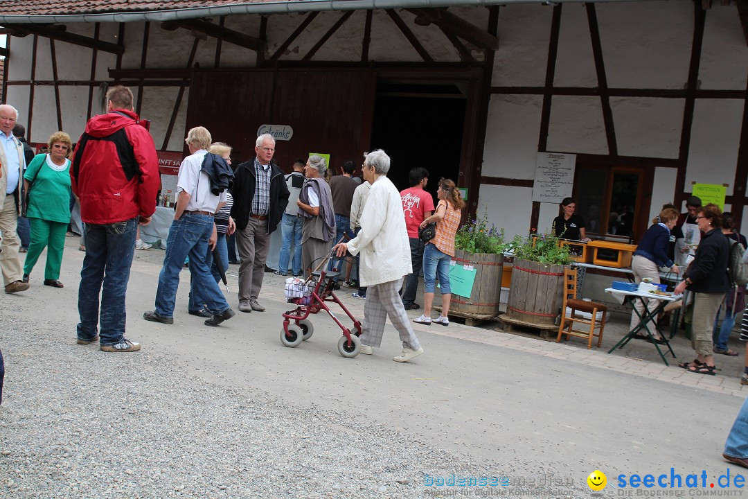 Hoffest-Rengoldshausen-Ueberlingen-2206-2013-Bodensee-Community-SEECHAT_de-IMG_8777.JPG