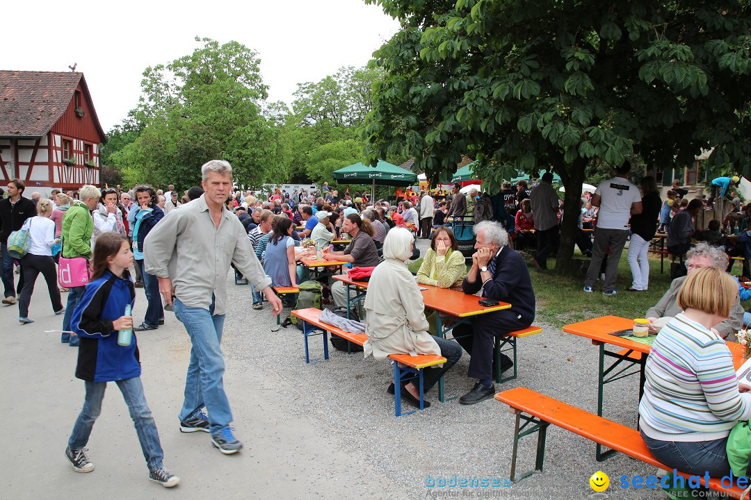 Hoffest-Rengoldshausen-Ueberlingen-2206-2013-Bodensee-Community-SEECHAT_de-IMG_8779.JPG