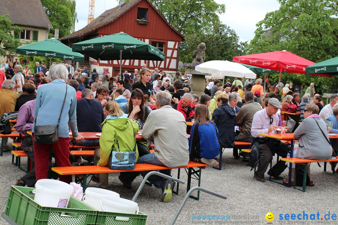 Hoffest-Rengoldshausen-Ueberlingen-2206-2013-Bodensee-Community-SEECHAT_de-IMG_8788.JPG