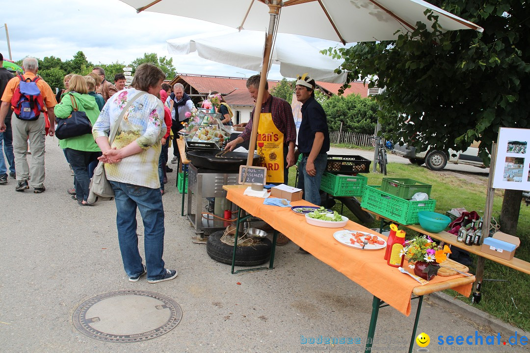 Hoffest-Rengoldshausen-Ueberlingen-2206-2013-Bodensee-Community-SEECHAT_de-IMG_8798.JPG