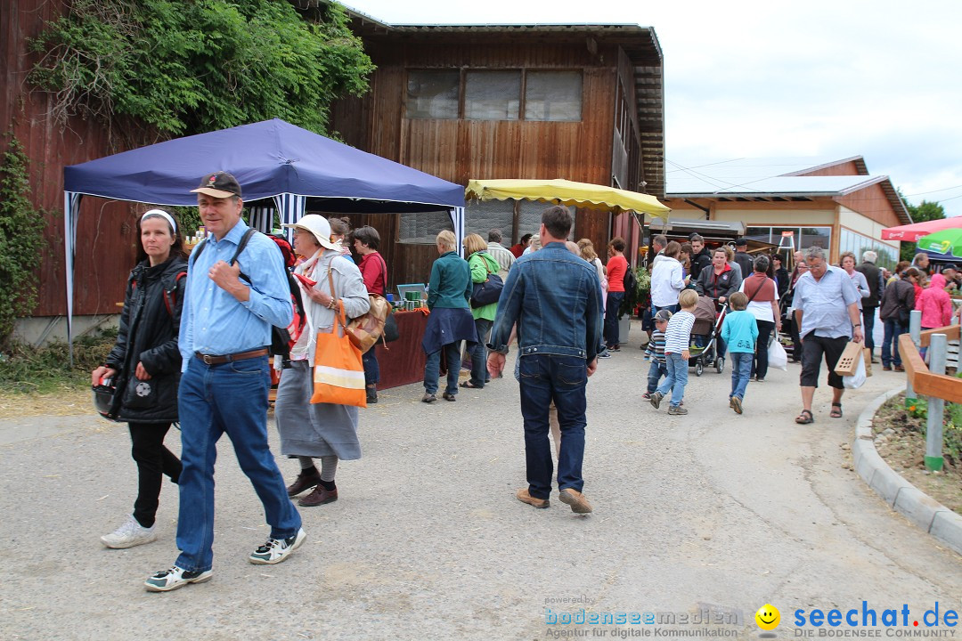 Hoffest-Rengoldshausen-Ueberlingen-2206-2013-Bodensee-Community-SEECHAT_de-IMG_8811.JPG