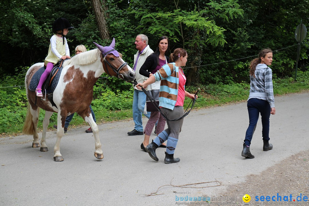 Hoffest-Rengoldshausen-Ueberlingen-2206-2013-Bodensee-Community-SEECHAT_de-IMG_8860.JPG