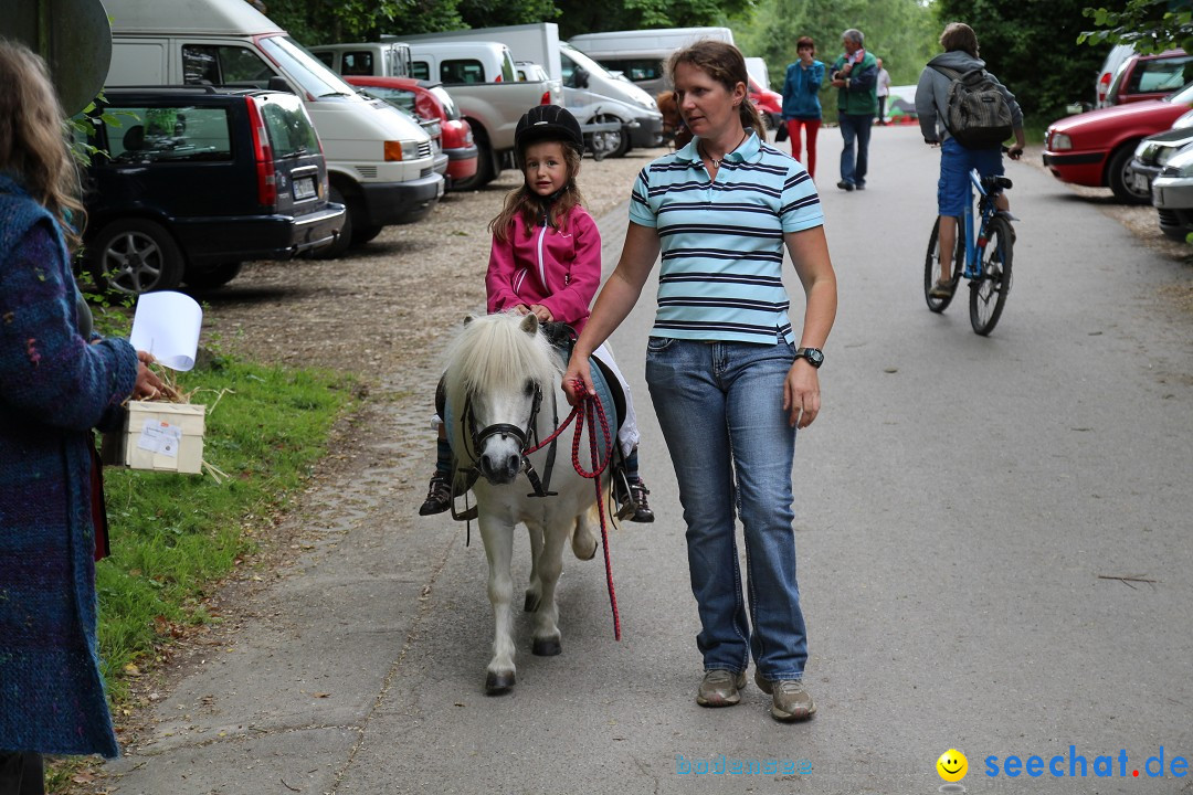 Hoffest-Rengoldshausen-Ueberlingen-2206-2013-Bodensee-Community-SEECHAT_de-IMG_8872.JPG