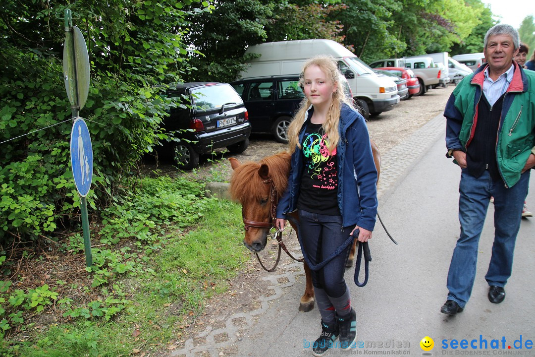 Hoffest-Rengoldshausen-Ueberlingen-2206-2013-Bodensee-Community-SEECHAT_de-IMG_8876.JPG