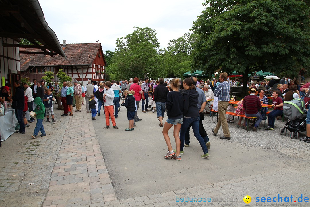 Hoffest-Rengoldshausen-Ueberlingen-2206-2013-Bodensee-Community-SEECHAT_de-IMG_8880.JPG