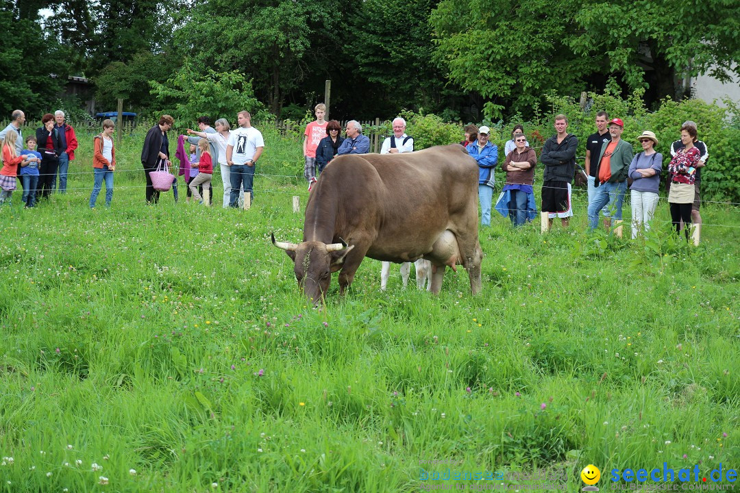 Hoffest-Rengoldshausen-Ueberlingen-2206-2013-Bodensee-Community-SEECHAT_de-IMG_8895.JPG