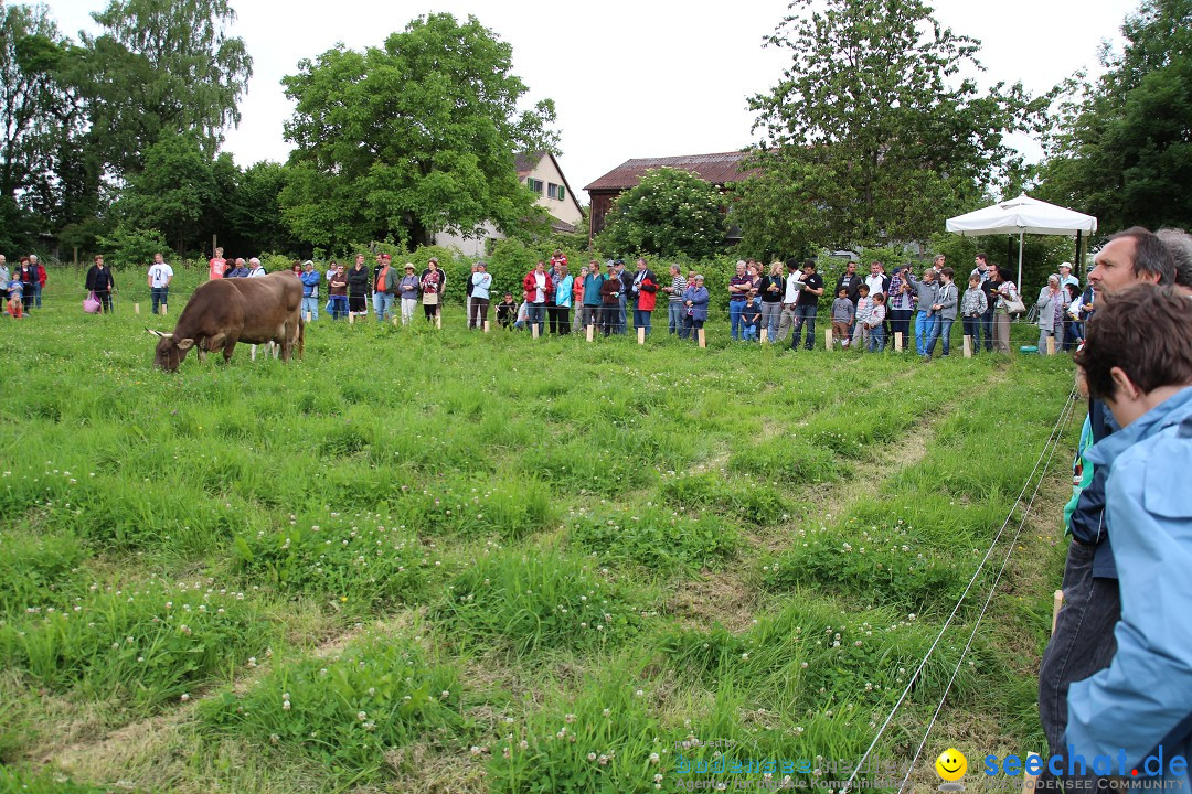 Hoffest-Rengoldshausen-Ueberlingen-2206-2013-Bodensee-Community-SEECHAT_de-IMG_8896.JPG