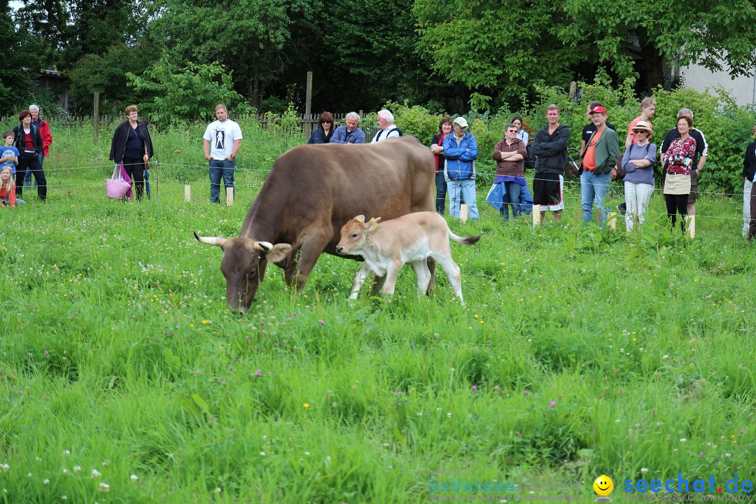 Hoffest-Rengoldshausen-Ueberlingen-2206-2013-Bodensee-Community-SEECHAT_de-IMG_8897.JPG