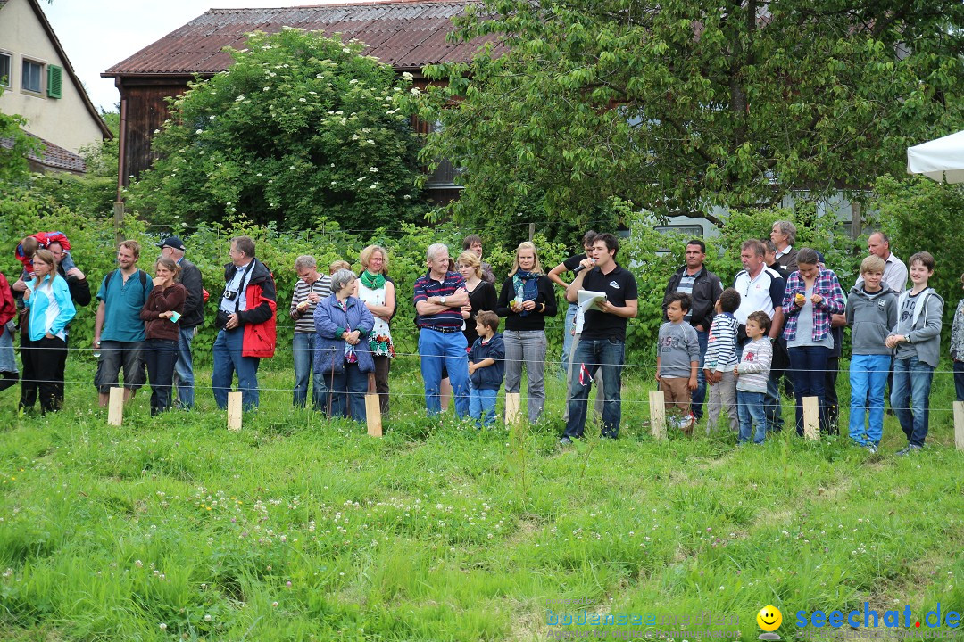 Hoffest-Rengoldshausen-Ueberlingen-2206-2013-Bodensee-Community-SEECHAT_de-IMG_8900.JPG