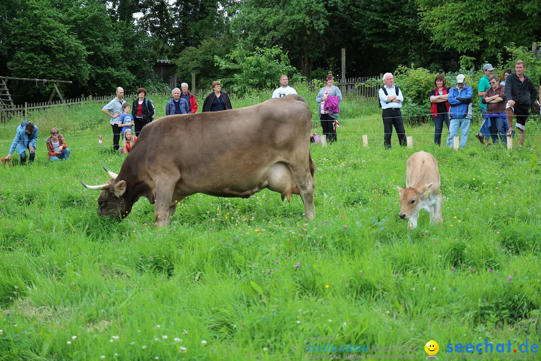 Hoffest-Rengoldshausen-Ueberlingen-2206-2013-Bodensee-Community-SEECHAT_de-IMG_8901.JPG