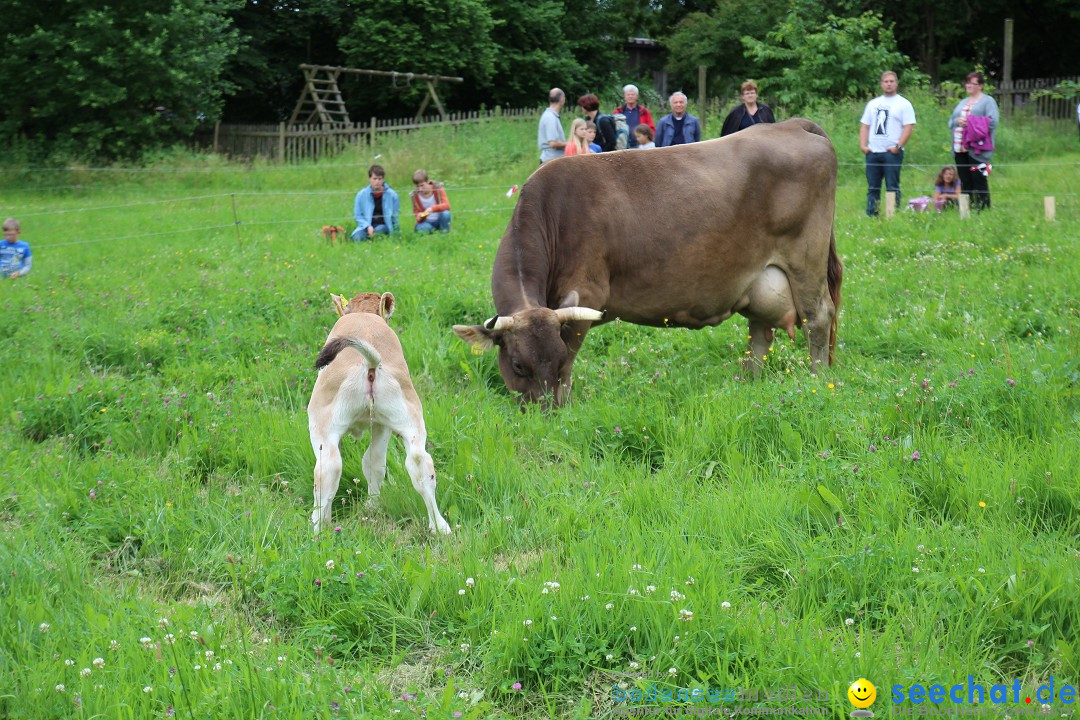 Hoffest-Rengoldshausen-Ueberlingen-2206-2013-Bodensee-Community-SEECHAT_de-IMG_8904.JPG