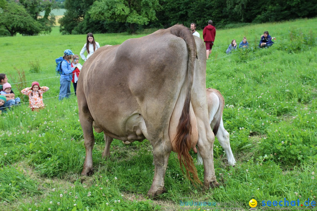 Hoffest-Rengoldshausen-Ueberlingen-2206-2013-Bodensee-Community-SEECHAT_de-IMG_8931.JPG