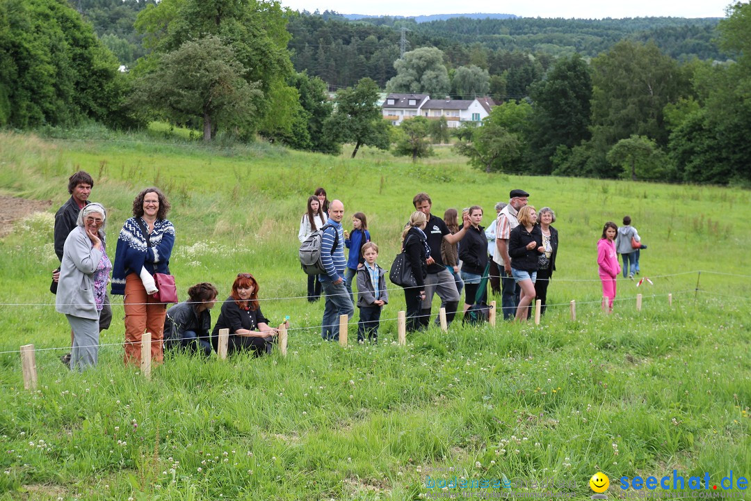 Hoffest-Rengoldshausen-Ueberlingen-2206-2013-Bodensee-Community-SEECHAT_de-IMG_8946.JPG