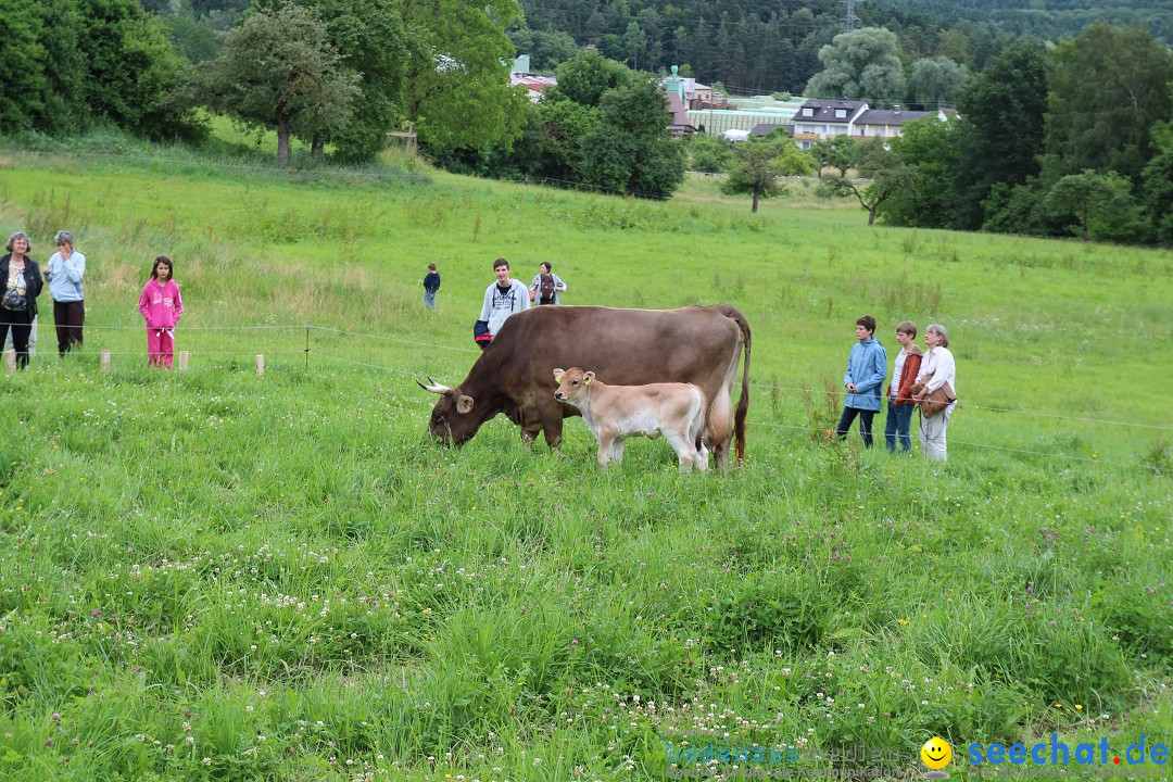 Hoffest-Rengoldshausen-Ueberlingen-2206-2013-Bodensee-Community-SEECHAT_de-IMG_8950.JPG