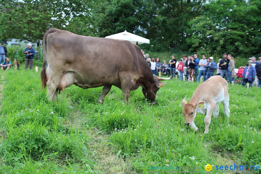 Hoffest-Rengoldshausen-Ueberlingen-2206-2013-Bodensee-Community-SEECHAT_de-IMG_8956.JPG