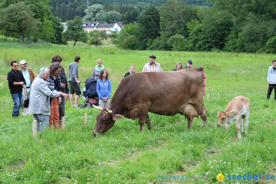 Hoffest-Rengoldshausen-Ueberlingen-2206-2013-Bodensee-Community-SEECHAT_de-IMG_8970.JPG