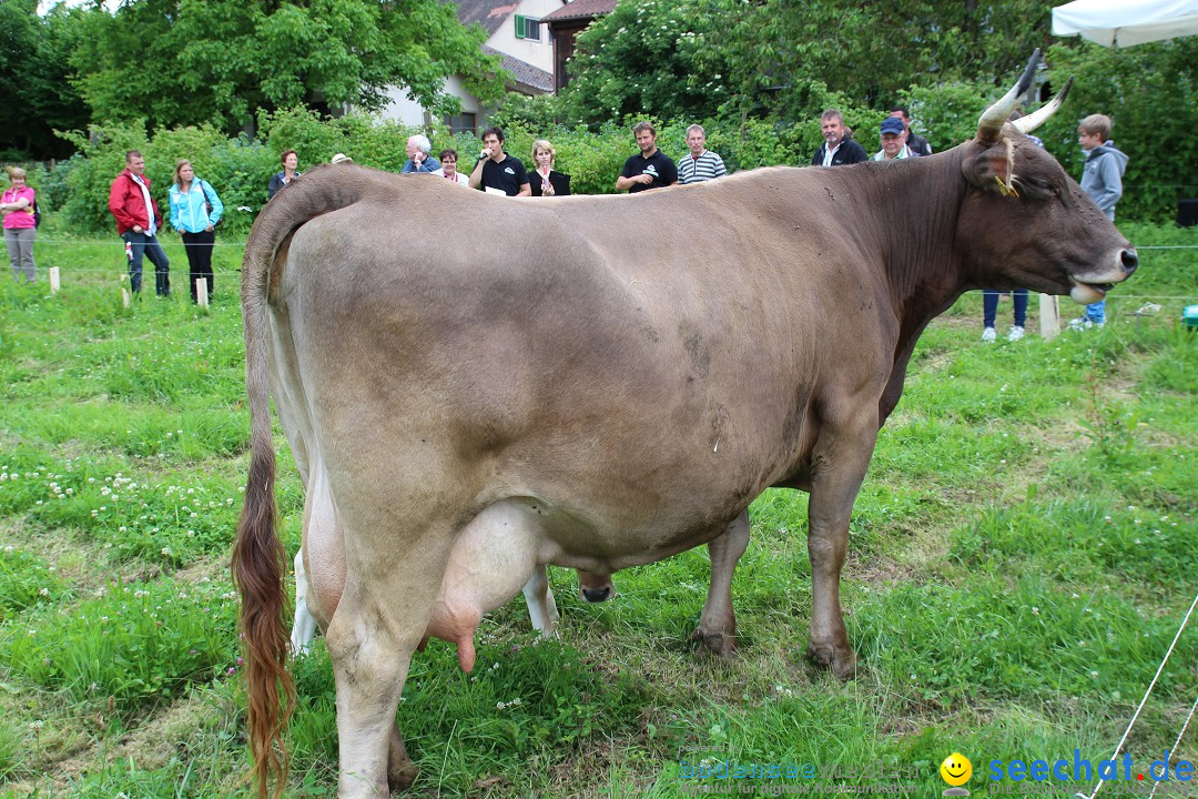 Hoffest-Rengoldshausen-Ueberlingen-2206-2013-Bodensee-Community-SEECHAT_de-IMG_8975.JPG