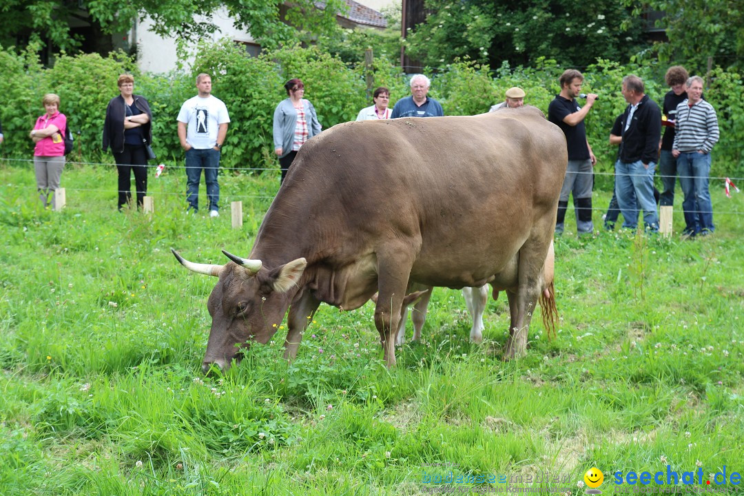 Hoffest-Rengoldshausen-Ueberlingen-2206-2013-Bodensee-Community-SEECHAT_de-IMG_8995.JPG