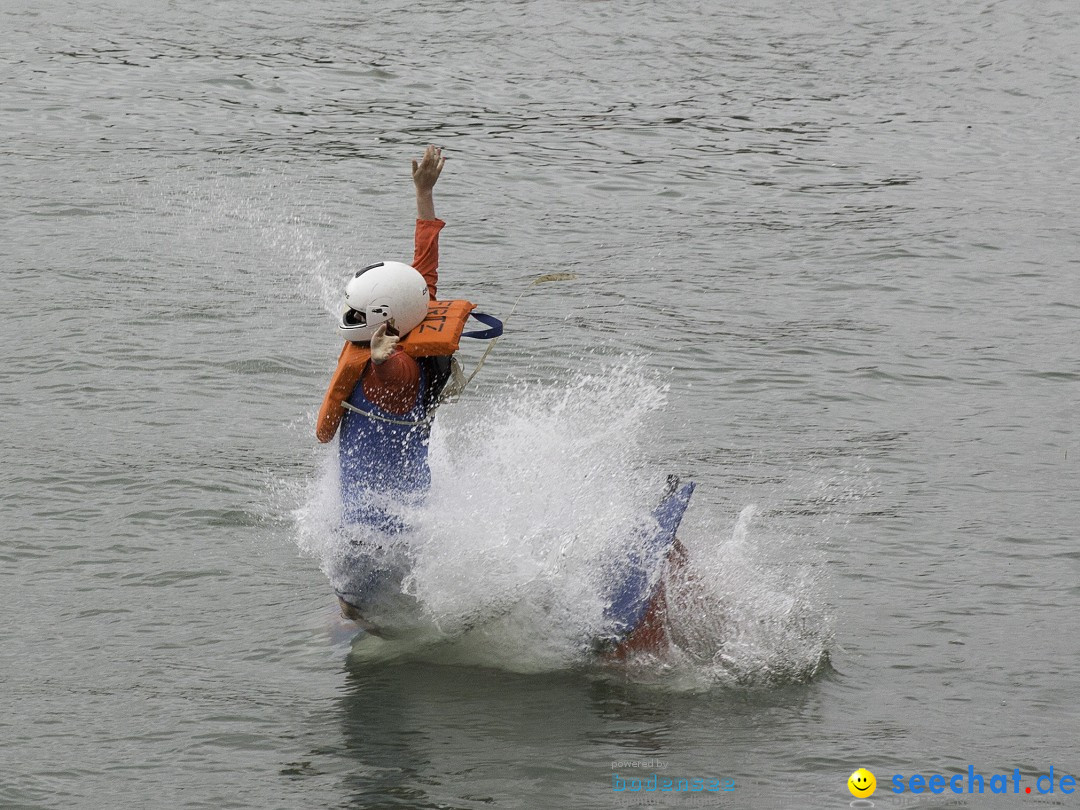 7. Internationale Seehafenfliegen by seechat: BODENS.EE: Lindau, 29.06.2013