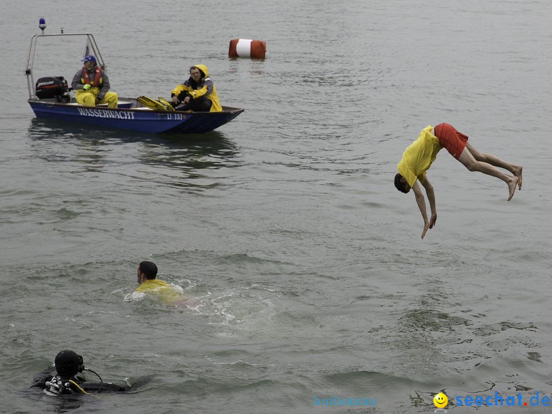 7. Internationale Seehafenfliegen by seechat: BODENS.EE: Lindau, 29.06.2013