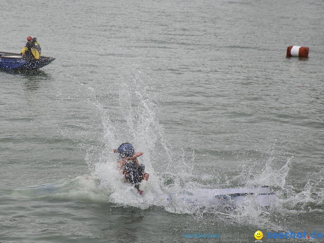 7. Internationale Seehafenfliegen by seechat: BODENS.EE: Lindau, 29.06.2013