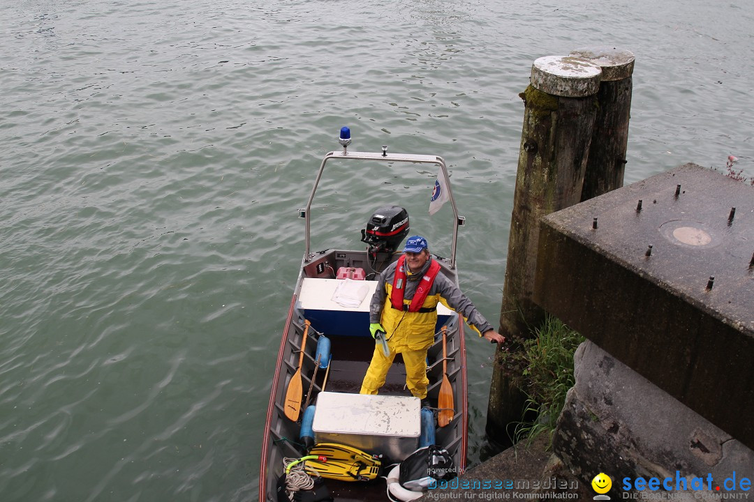 7. Internationale Seehafenfliegen by seechat: BODENS.EE: Lindau, 29.06.2013