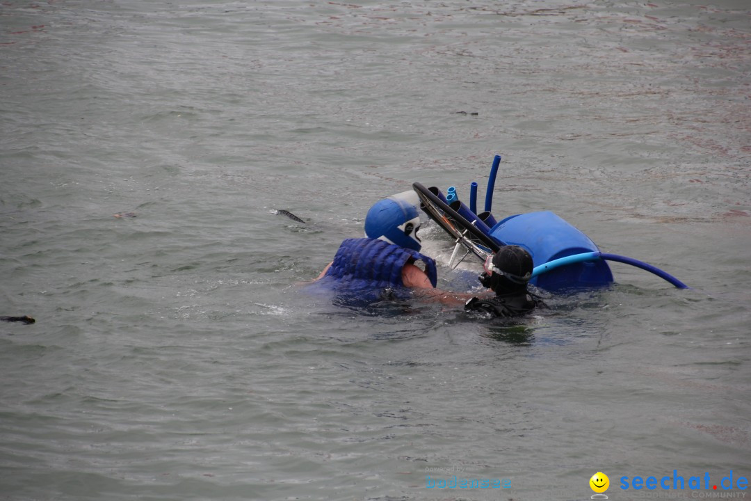 7. Internationale Seehafenfliegen by seechat: BODENS.EE: Lindau, 29.06.2013