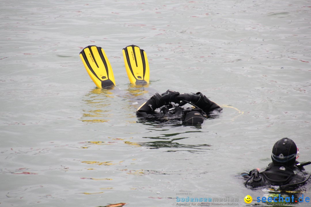 7. Internationale Seehafenfliegen by seechat: BODENS.EE: Lindau, 29.06.2013