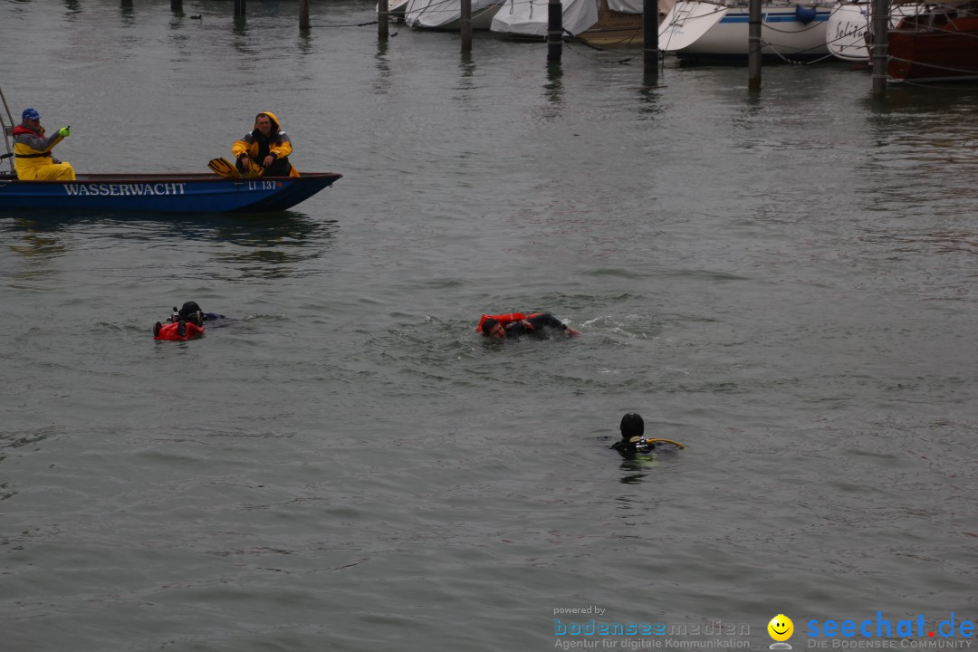 7. Internationale Seehafenfliegen by seechat: BODENS.EE: Lindau, 29.06.2013