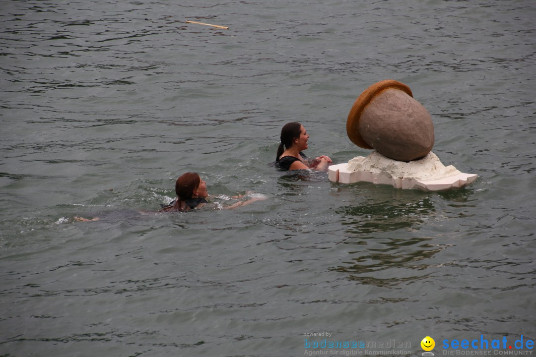 7. Internationale Seehafenfliegen by seechat: BODENS.EE: Lindau, 29.06.2013