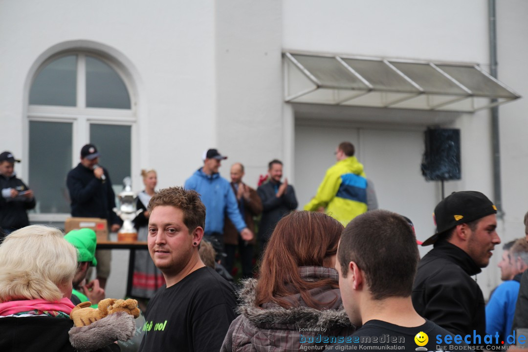 7. Internationale Seehafenfliegen by seechat: BODENS.EE: Lindau, 29.06.2013