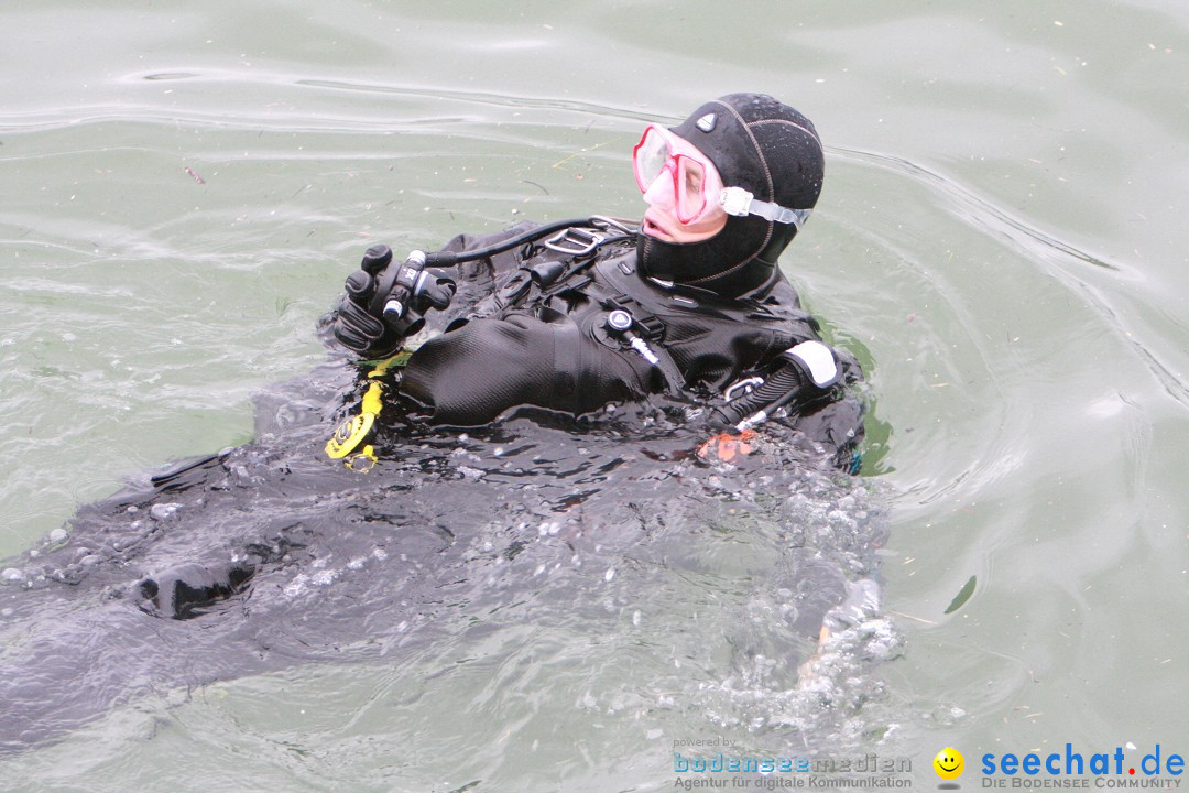 7. Internationale Seehafenfliegen by seechat: BODENS.EE: Lindau, 29.06.2013