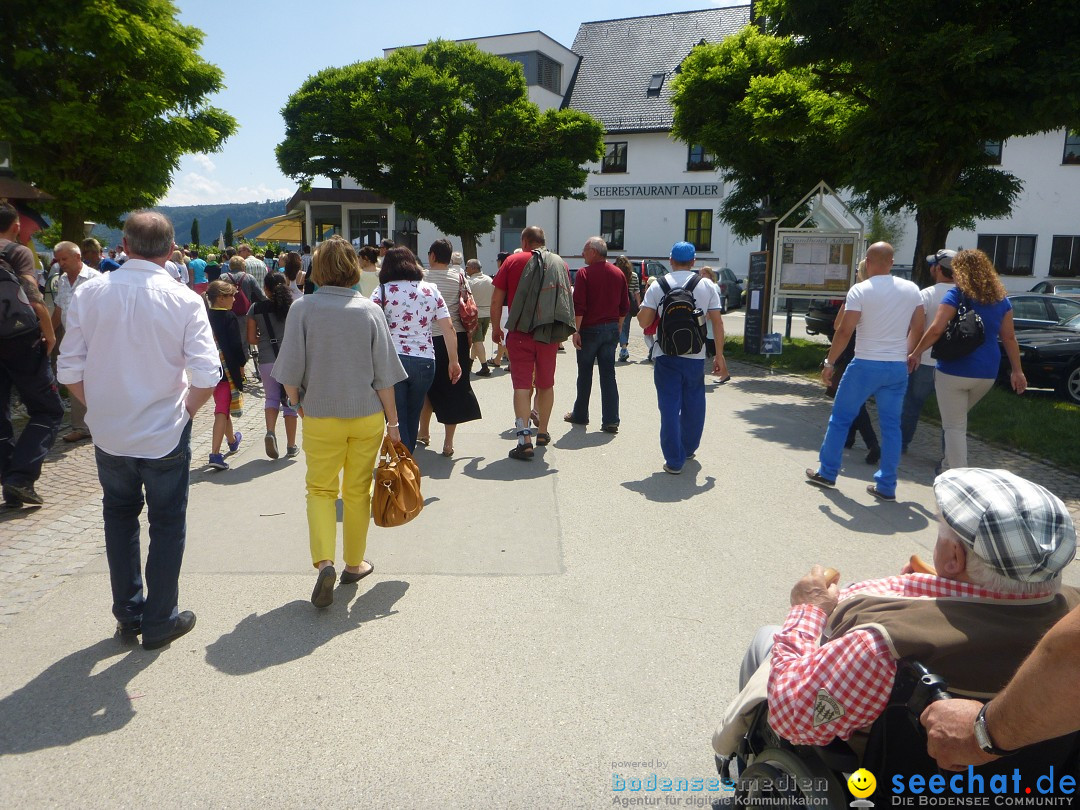 Hafenfest mit Flohmarkt: Ludwigshafen am Bodensee, 30.06.2013