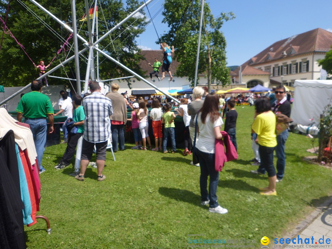 Hafenfest mit Flohmarkt: Ludwigshafen am Bodensee, 30.06.2013