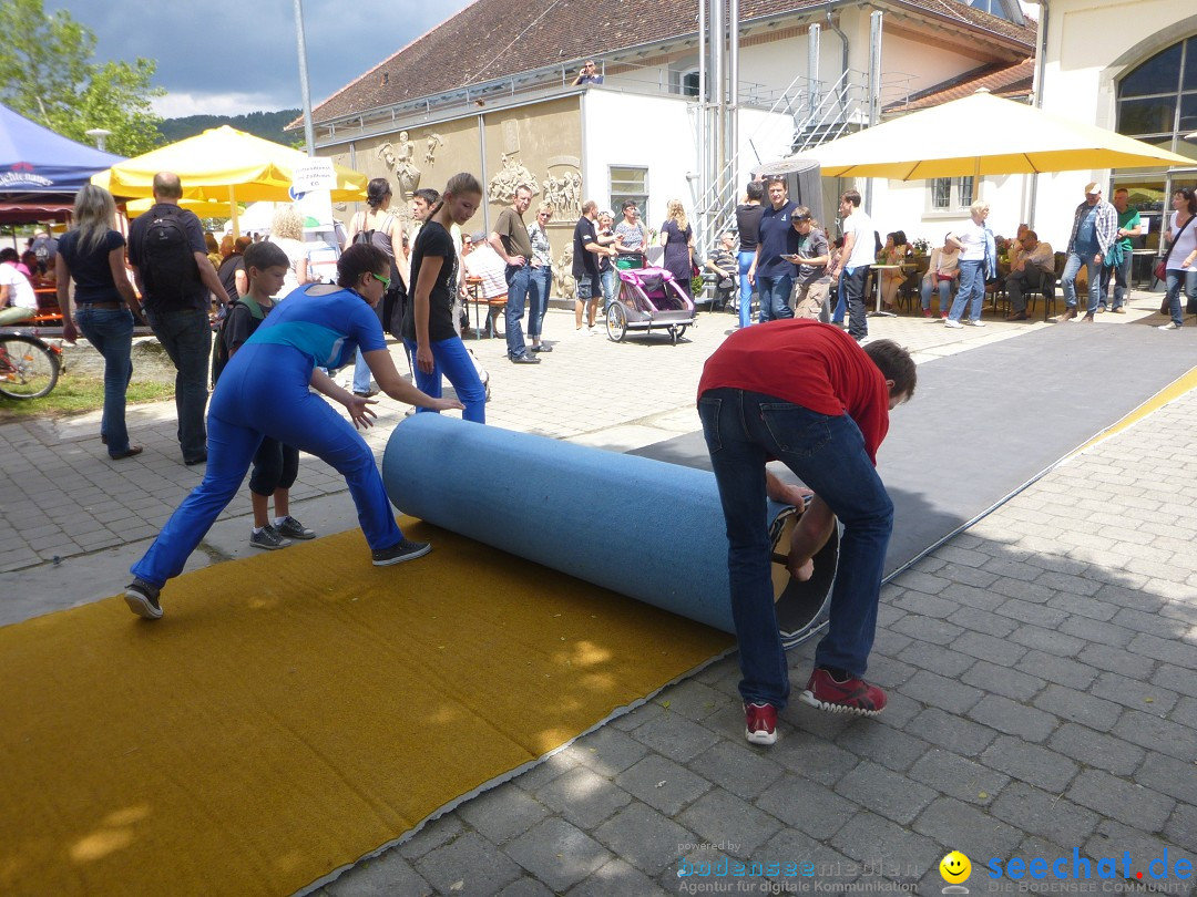 Hafenfest mit Flohmarkt: Ludwigshafen am Bodensee, 30.06.2013