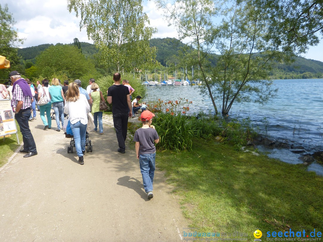 Hafenfest mit Flohmarkt: Ludwigshafen am Bodensee, 30.06.2013