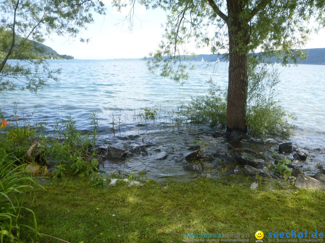 Hafenfest mit Flohmarkt: Ludwigshafen am Bodensee, 30.06.2013