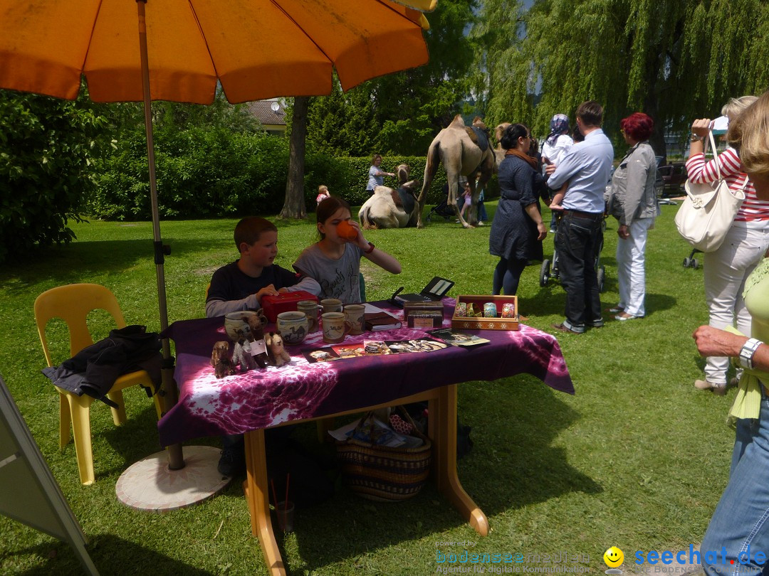 Hafenfest mit Flohmarkt: Ludwigshafen am Bodensee, 30.06.2013