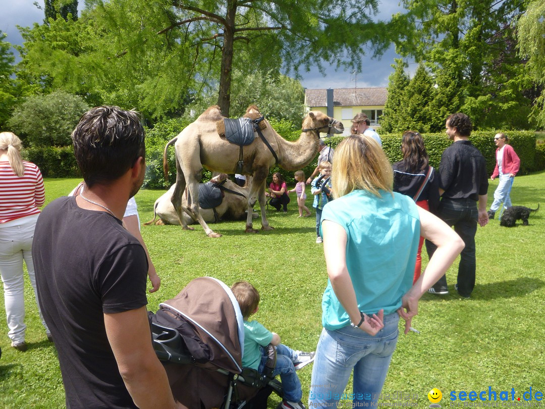 Hafenfest mit Flohmarkt: Ludwigshafen am Bodensee, 30.06.2013