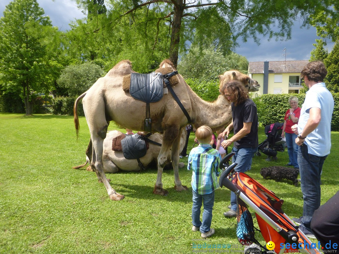 Hafenfest mit Flohmarkt: Ludwigshafen am Bodensee, 30.06.2013