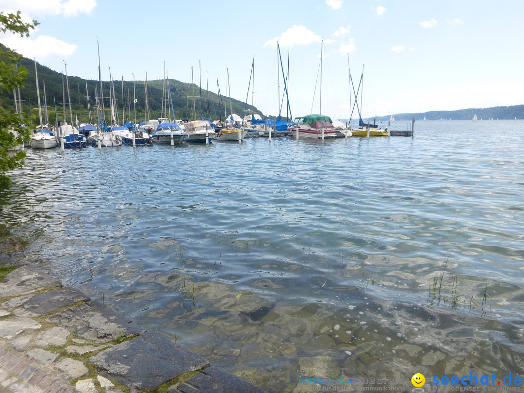 Hafenfest mit Flohmarkt: Ludwigshafen am Bodensee, 30.06.2013